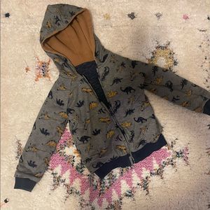 Boys 5 Reversible Dinosaur Zip Up Hoodie